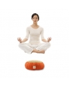 Zafu Statics Meditation Cushion