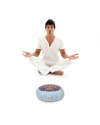 Zafu Statics Meditation Cushion