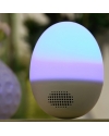 Swing-Light Bluetooth Speaker