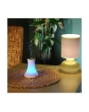 Aromasonic Diffuser with LED Light & Speaker