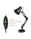 Architect LED Desk Lamp