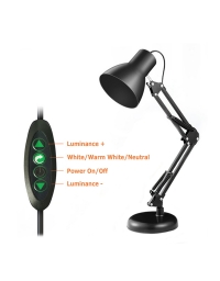 Architect LED Table Lamp