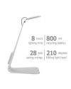 Sleek LED Desk Lamp