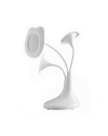 Petunia LED Desk Lamp