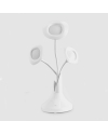 Petunia LED Desk Lamp