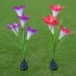 Solar Lily flower Lights (Pack of 2)