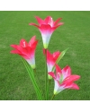 Solar Lily flower Lights (Pack of 2)