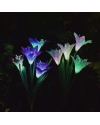 Solar Lily flower Lights (Pack of 2)