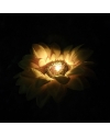 Solar Sunflower Lights (Pack of 2)