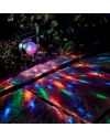 Solar LED Color Changing Garden Light