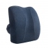 Lumbar Wing Back Support