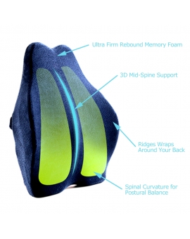 3D Physical ergonomics Lumbar Support