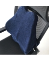 3D Physical ergonomics Lumbar Support