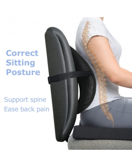 Lumbar Ergonomic Cool Back Support