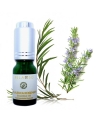 Melaleuca Rosemary Essential Oil