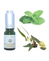 Eucalyptus Peppermint Essential Oil