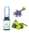 Bergamot Lavandula Essential Oil