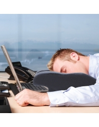 Ezsleep Face Down Cradle Speaker Pillow