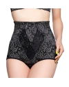 High Waist Lace Wire Light Shaping Knickers