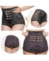 High Waist Lace Wire Light Shaping Knickers