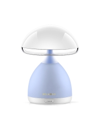 Dome LED Desk Lamp