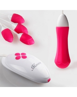 Bouquet of Rose Intimate Vibrator