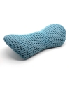 Chiropractic Support Pillow