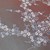 Brocade blossom Teal