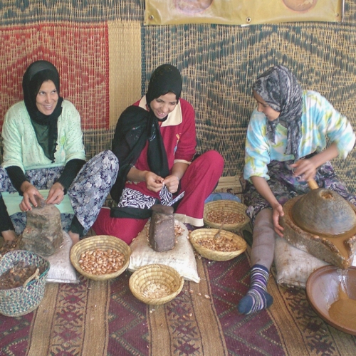Stories behind the Women's Cooperatives of Morocco 